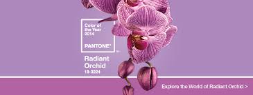 radiant orchid pantone