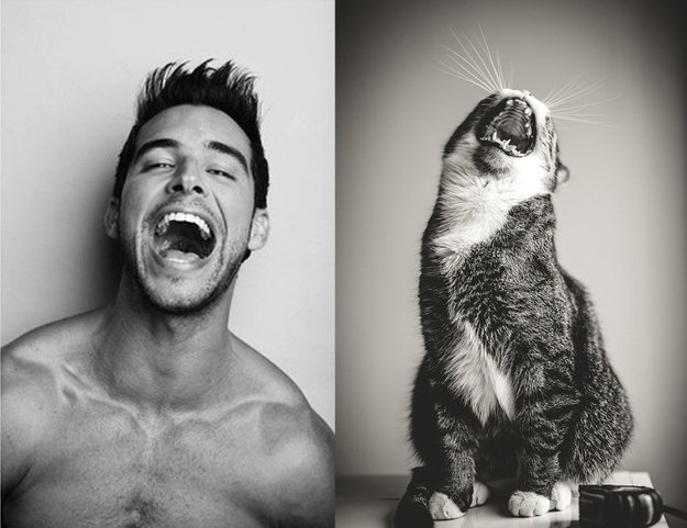 uomo e gatto 2