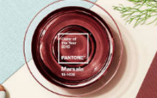 pantone marsala