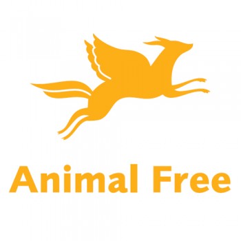 animal free fashion